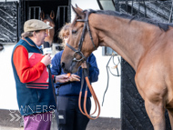 NH051025-41 - Will Carver